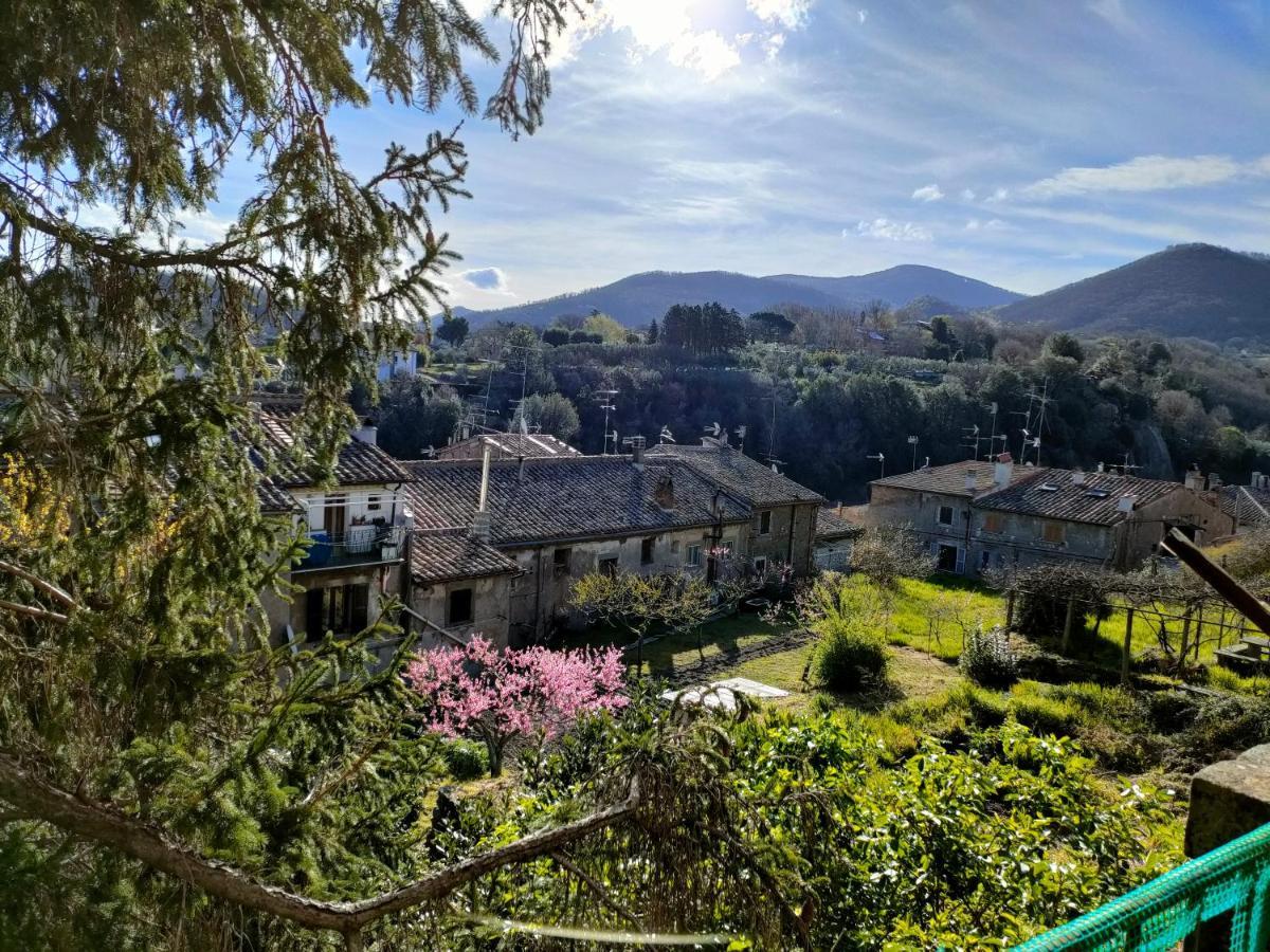 Villa Lante Viterbo Apartment Dış mekan fotoğraf